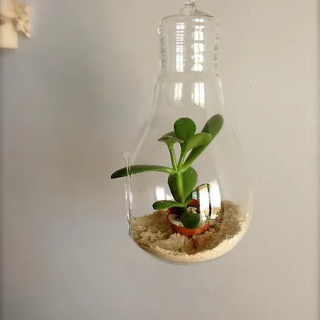 Apartament Luxury